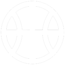 Basketball Icon